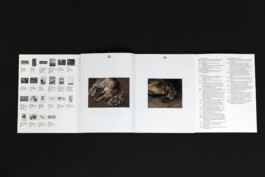 Immo Schneider Conversation Taking Place CTP. TP. P.