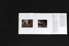 Immo Schneider Conversation Taking Place CTP. TP. P.