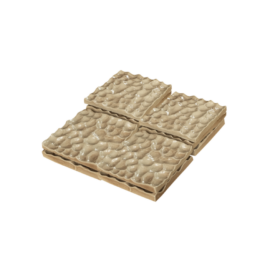  Immo Schneider Conversation Taking Place CTP. TP. P.