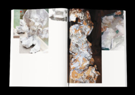  Immo Schneider Conversation Taking Place CTP. TP. P.