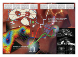  Immo Schneider Conversation Taking Place CTP. TP. P.