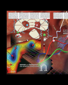  Immo Schneider Conversation Taking Place CTP. TP. P.