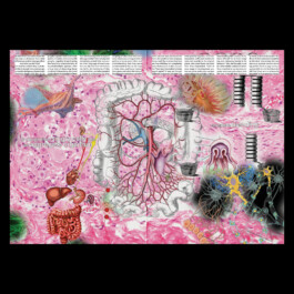 Immo Schneider Conversation Taking Place CTP. TP. P.