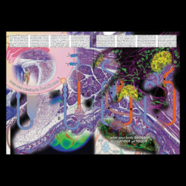 Immo Schneider Conversation Taking Place CTP. TP. P.