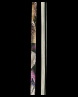 Immo Schneider Conversation Taking Place CTP. TP. P.