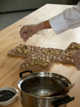 Immo Schneider Conversation Taking Place CTP. TP. P.