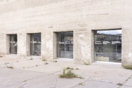 Immo Schneider Conversation Taking Place CTP. TP. P.