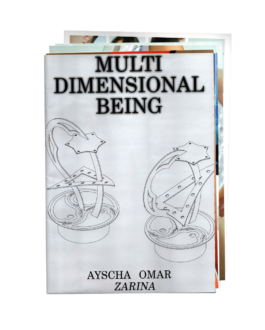  Immo Schneider Conversation Taking Place CTP. TP. P.