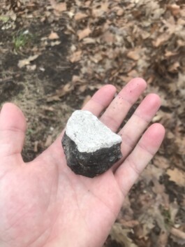  Immo Schneider Conversation Taking Place CTP. TP. P.