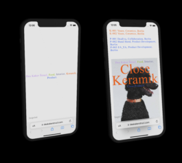 Immo Schneider Conversation Taking Place CTP. TP. P.