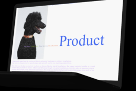 Immo Schneider Conversation Taking Place CTP. TP. P.