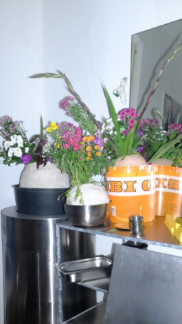 Immo Schneider Conversation Taking Place CTP. TP. P.