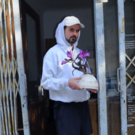  Immo Schneider Conversation Taking Place CTP. TP. P.