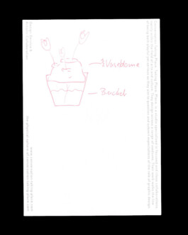 Immo Schneider Conversation Taking Place CTP. TP. P.