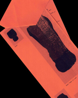 Visual Identity for Mylasher.earth Immo Schneider Conversation Taking Place CTP. TP. P.