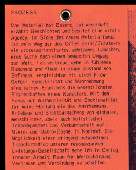 Visual Identity for Mylasher.earth Immo Schneider Conversation Taking Place CTP. TP. P.