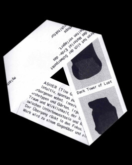 Visual Identity for Mylasher.earth Immo Schneider Conversation Taking Place CTP. TP. P.