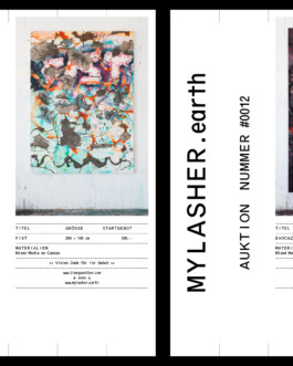 Visual Identity for Mylasher.earth Immo Schneider Conversation Taking Place CTP. TP. P.