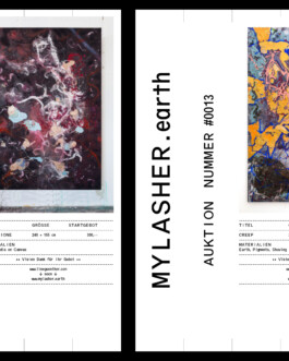 Visual Identity for Mylasher.earth Immo Schneider Conversation Taking Place CTP. TP. P.