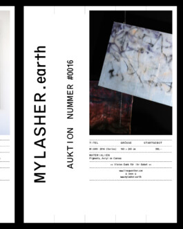 Visual Identity for Mylasher.earth Immo Schneider Conversation Taking Place CTP. TP. P.