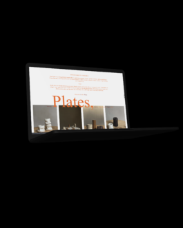 Immo Schneider Conversation Taking Place CTP. TP. P.