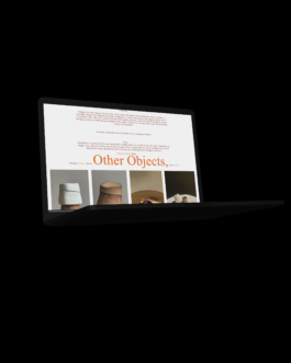 Immo Schneider Conversation Taking Place CTP. TP. P.