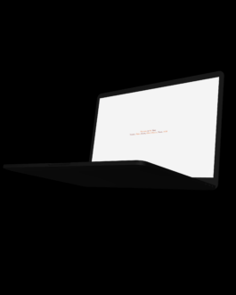 Immo Schneider Conversation Taking Place CTP. TP. P.