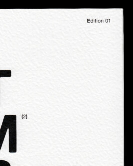 Publication Design Kunsthalle Leipzig Immo Schneider Conversation Taking Place CTP. TP. P.