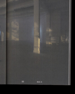 Immo Schneider Conversation Taking Place CTP. TP. P.