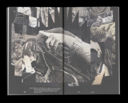 Immo Schneider Conversation Taking Place CTP. TP. P.