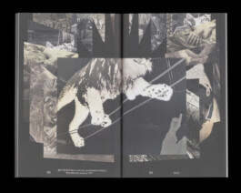 Immo Schneider Conversation Taking Place CTP. TP. P.