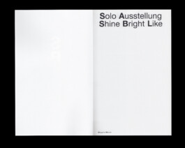 Immo Schneider Conversation Taking Place CTP. TP. P.