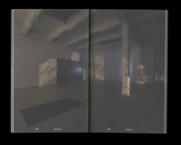 Immo Schneider Conversation Taking Place CTP. TP. P.