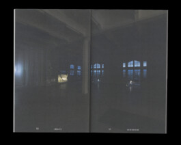 Immo Schneider Conversation Taking Place CTP. TP. P.