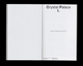 Immo Schneider Conversation Taking Place CTP. TP. P.