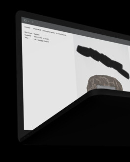 Immo Schneider Conversation Taking Place CTP. TP. P.