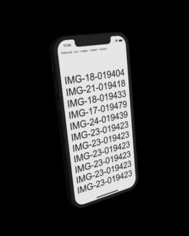 Phone display of website for photographer and artist Phillip Koll Immo Schneider Conversation Taking Place CTP. TP. P.