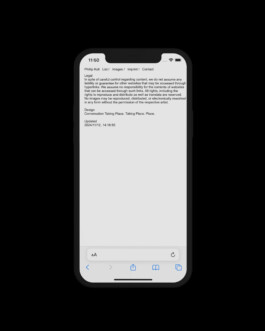 Immo Schneider Conversation Taking Place CTP. TP. P.