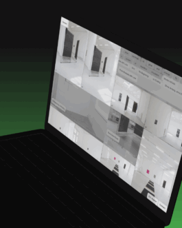 Immo Schneider Conversation Taking Place CTP. TP. P.