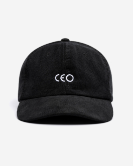 Immo Schneider Conversation Taking Place CTP. TP. P.