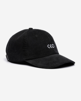 Immo Schneider Conversation Taking Place CTP. TP. P.