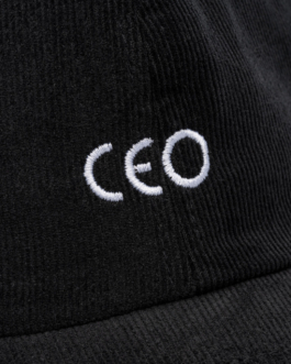 Immo Schneider Conversation Taking Place CTP. TP. P.