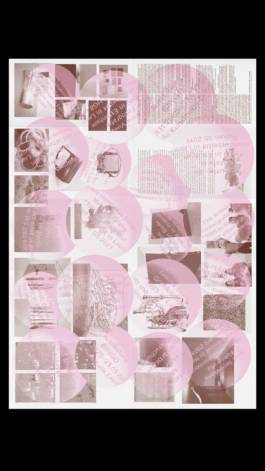 Immo Schneider Conversation Taking Place CTP. TP. P.