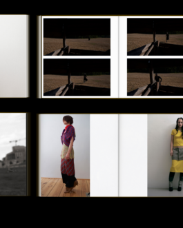 Immo Schneider Conversation Taking Place CTP. TP. P.