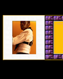 Immo Schneider Conversation Taking Place CTP. TP. P.