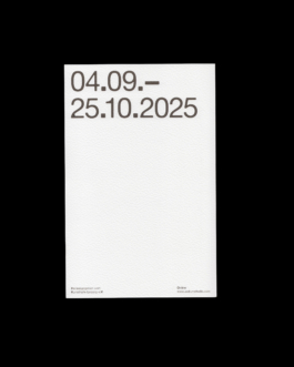 Immo Schneider Conversation Taking Place CTP. TP. P.